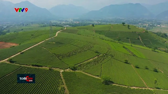Dự báo thời tiết (30/7/2025)