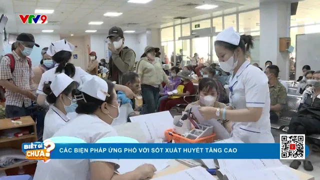 Các biện pháp ứng phó với sốt xuất huyết tăng cao