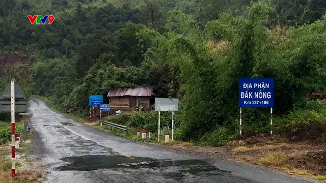 Đường dây nóng AloV9 (28/7/2025): Hiểm họa từ những ổ gà đọng nước trên QL28