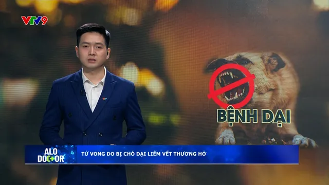 Alo Doctor (01/8/2025): Một người tử vong do bị chó dại liếm vết thương