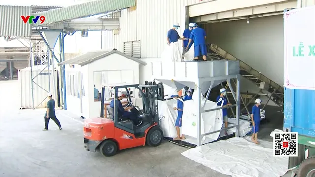 Xuất khẩu gạo duy trì lợi thế ở phân khúc cao cấp