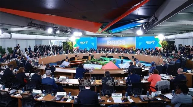 Vietnam presents five proposals to protect environment, global health at BRICS Summit - Ảnh 1.