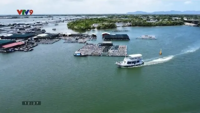 Ấn tượng Phương Nam: Vi vu làng bè Long Sơn
