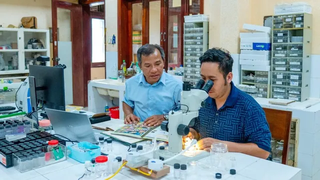 National maritime aspirations - Ảnh 1.