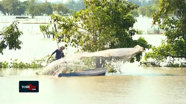 Đồng Tháp bắt đầu mùa nước nổi