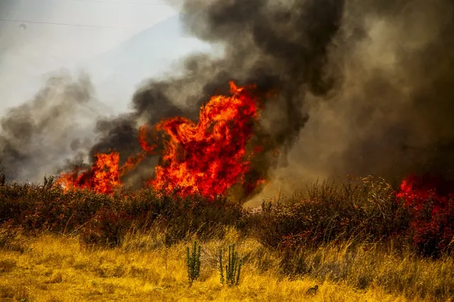 Cháy rừng lan rộng, bang California (Mỹ) mở rộng lệnh sơ tán - Ảnh 1.