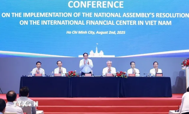 PM asks HCM City, Da Nang to mobilise resources for IFC - Ảnh 1.