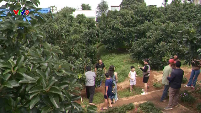 Bản đồ số - Tăng sức hút cho du lịch nông nghiệp