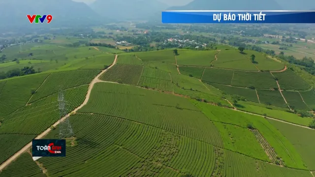 Dự báo thời tiết (14/8/2025)