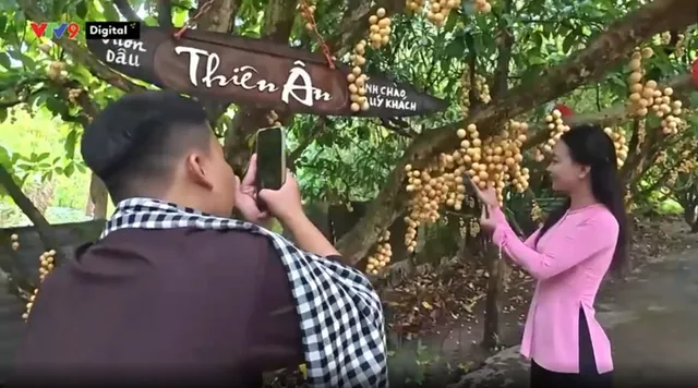 Việt Nam ơi! Mình cùng đi: Ngã 7 - Nơi những dòng sông hội tụ