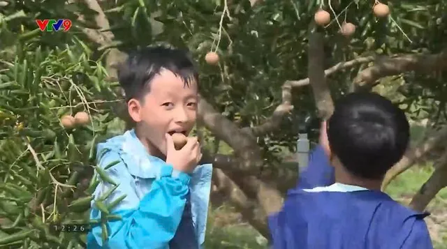 Phát triển du lịch nông thôn gắn tới tiêu thụ nông sản