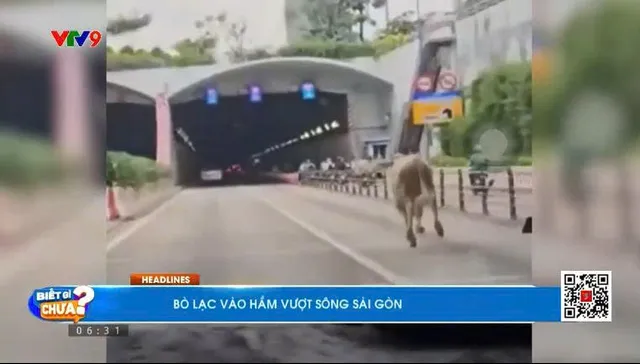 Thời sự: Biết gì chưa (16/8/2025)