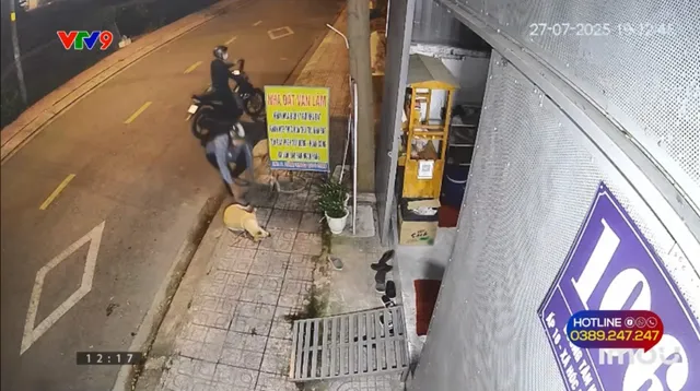 Alo V9 (16/8/2025): Nạn trộm chó lộng hành