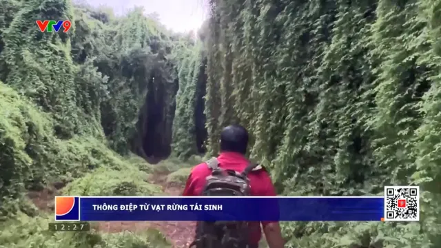 Ấn tượng phương Nam: Thông điệp từ vạt rừng tái sinh