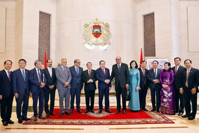 NA leader’s trip marks new milestone in Vietnam’s relations with Senegal, Morocco, Switzerland: Deputy FM - Ảnh 2.