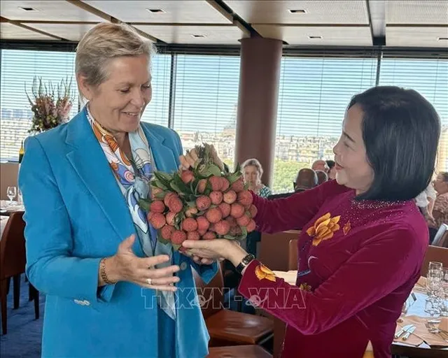 Vietnam eyes deeper comprehensive strategic partnership with France - Ảnh 1.