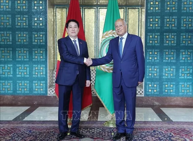 Vietnam seeks to write new chapter of cooperation with Arab nations: State President - Ảnh 2.