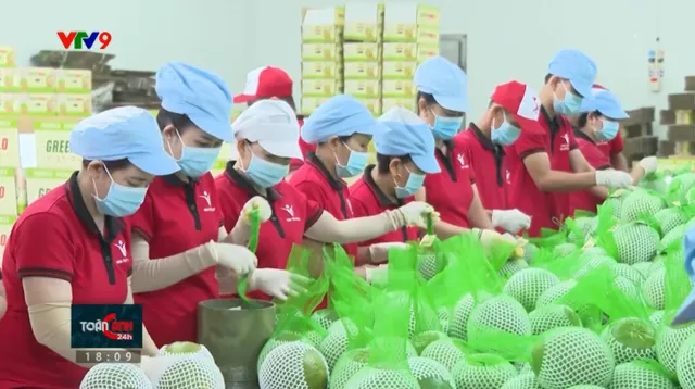 Doanh nghiệp Việt ứng phó linh hoạt với mức thuế đối ứng từ Mỹ