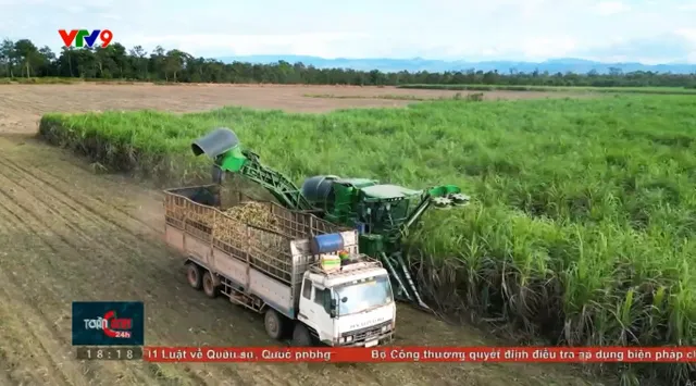 Năng lượng xanh từ bã mía