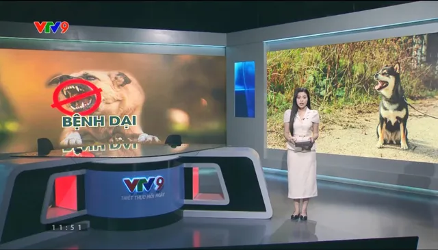 Alo Doctor(24/8/2025): TP. Hồ Chí Minh thêm 2 ca tử vong do bệnh dại