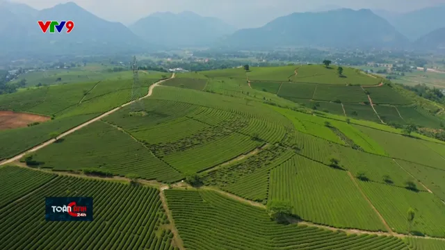 Dự báo thời tiết (05/9/2025)