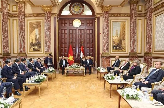 Vietnamese, Egyptian leaders agree to beef up parliamentary cooperation - Ảnh 1.