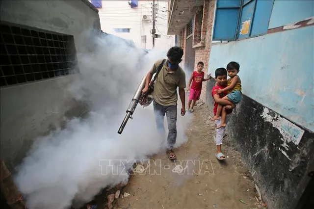 Bangladesh đối mặt nhiều bệnh truyền nhiễm do muỗi - Ảnh 1.