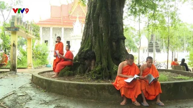 Ấn tượng phương Nam: "Báu vật xanh" tại ngôi chùa trăm tuổi