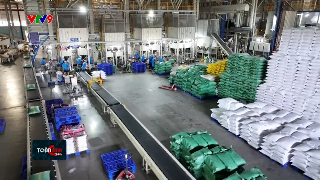 Gạo Việt Nam tìm giải pháp giữ vững thương hiệu