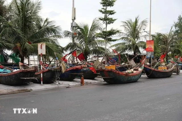 Coastal tourism suspended as Typhoon Kajiki approaches - Ảnh 1.