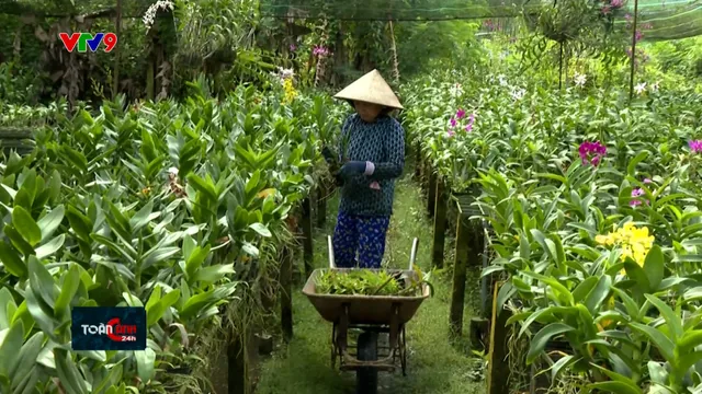 Nông dân được xây dựng công trình phụ trên đất nông nghiệp