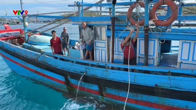 Khánh Hòa: Mở đợt cao điểm kiểm soát ngăn chặn vi phạm IUU