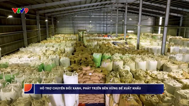 Hỗ trợ chuyển đổi xanh để xuất khẩu sang thị trường EU