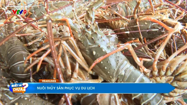 Thời sự: Biết gì chưa (26/9/2025)