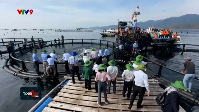Khánh Hòa: Khơi thông nguồn lực phát triển kinh tế biển