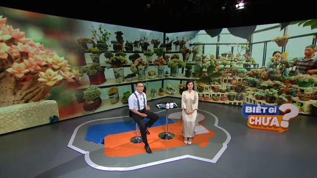 Biết gì chưa (27/9/2025)