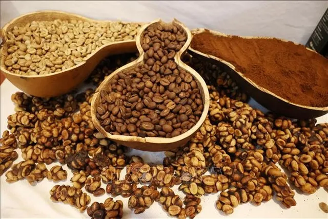 Vietnamese coffee wins over French consumers - Ảnh 1.