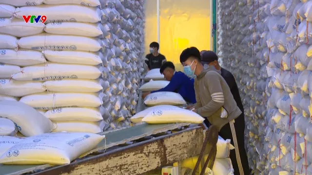 Thị trường gạo khởi sắc, xuất khẩu duy trì đà bứt phá