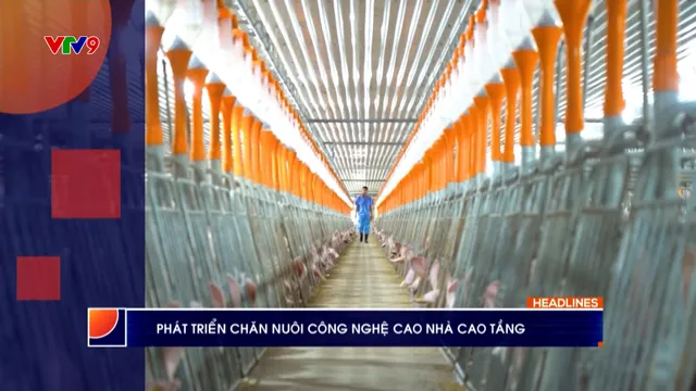 Thời sự: Phương Nam hôm nay (06/10/2025)