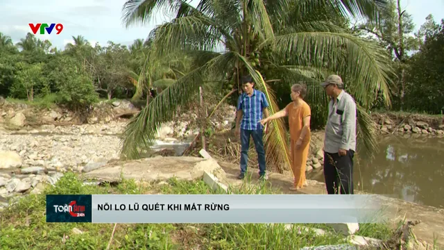 Nỗi lo lũ quét mất rừng