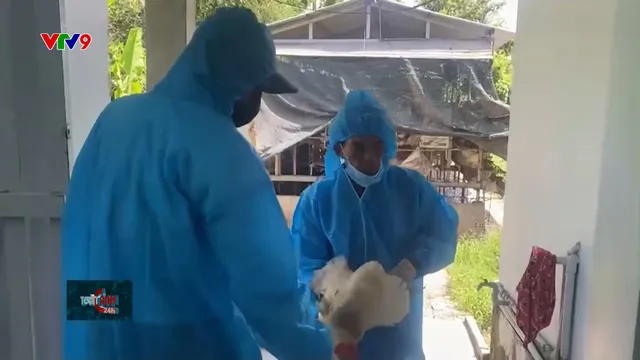 Bảo vệ cộng đồng trước nguy cơ bùng phát cúm gia cầm