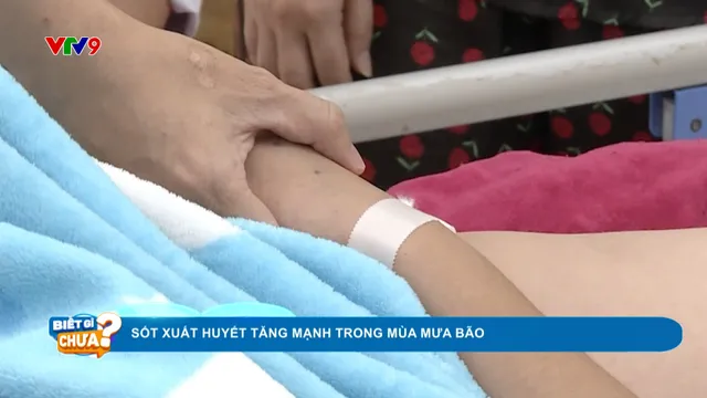Sốt xuất huyết tăng mạnh trong mùa mưa bão