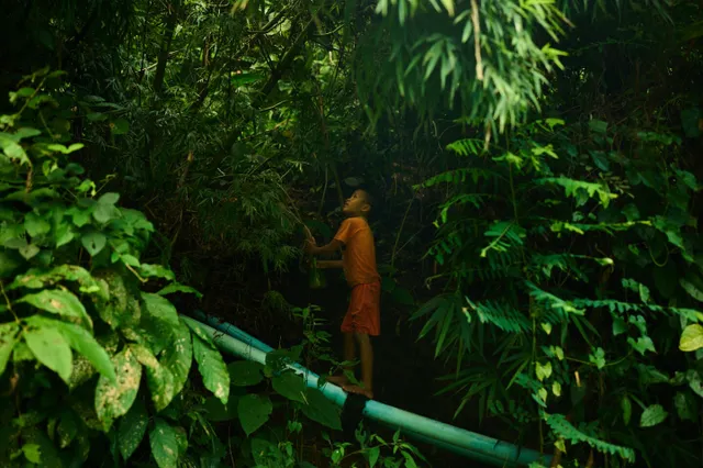 Nhiều trẻ em Myanmar đói lả sau khi Mỹ cắt viện trợ nước ngoài- Ảnh 1. Nhiều trẻ em Myanmar đói lả sau khi Mỹ cắt viện trợ nước ngoài- Ảnh 1.