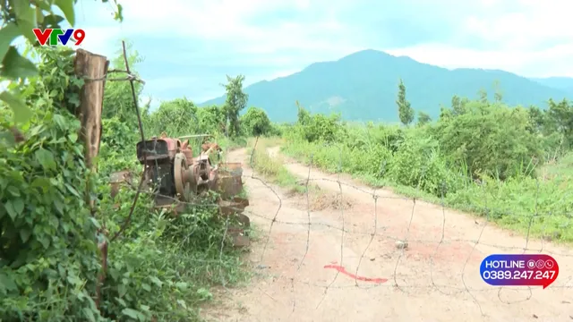ALo V9 (13/10/2025): Tăng cường xử lý khai thác cát trái phép