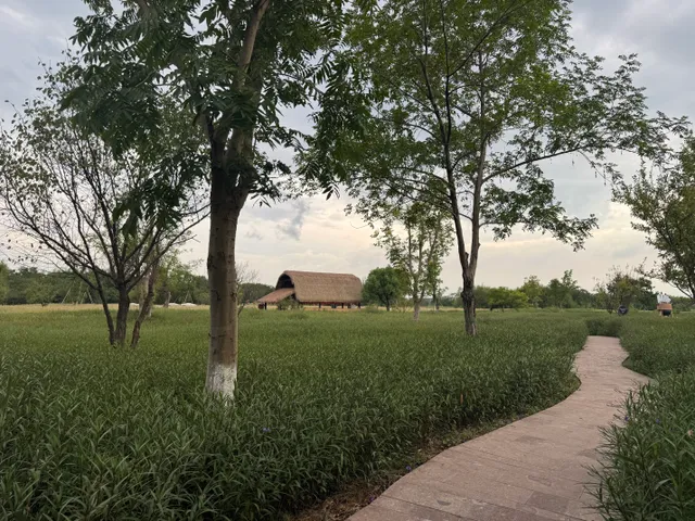 Liangzhu: Reviving a 5.000 year civilization through digital intelligence - Ảnh 4.