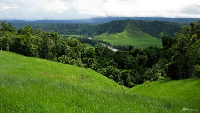 Rừng mưa nhiệt đới Australia không còn là "bể chứa" carbon - Ảnh 1. Rừng mưa nhiệt đới Australia không còn là "bể chứa" carbon - Ảnh 1.