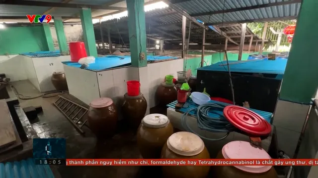 Khánh Hòa: Nguy cơ xóa sổ làng nước mắt nổi tiếng