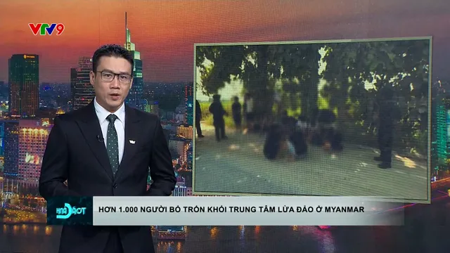 Thời sự: Toàn cảnh 24h (24/10/2025)
