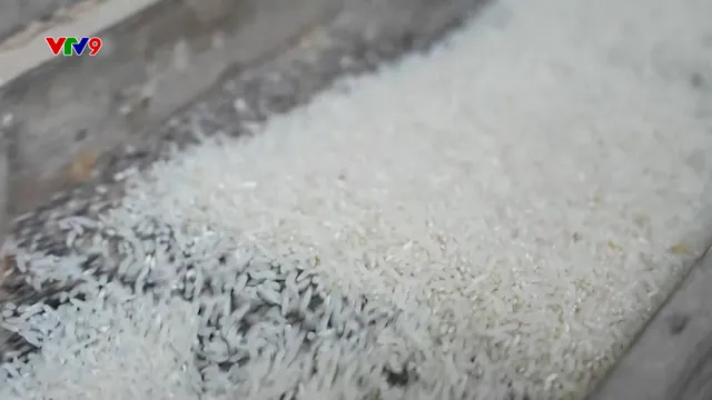 Ấn tượng phương Nam: Ký ức từ nhà máy chà gạo