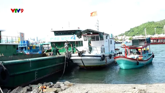 Ngăn chặn đánh bắt dùng kích điện ở Vịnh Nha Trang